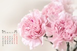 May 2021 Mother's Day Flowers Desktop Calendar Wallpaper