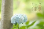 April 2022 HD Eye Protection Desktop Calendar Wallpaper