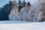 Winter snowy landscape desktop wallpaper