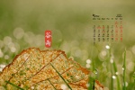 May 2021 small fresh scenery desktop calendar wallpaper