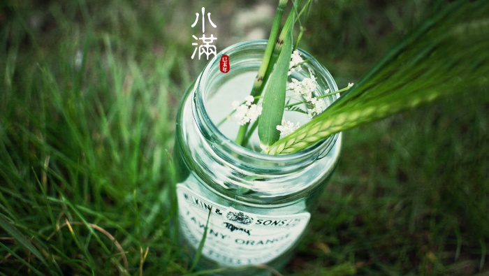 Twenty-four solar terms Xiaoman desktop wallpaper picture