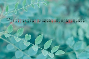 December 2021 Eyesight Protecting Green Plants Calendar Wallpaper