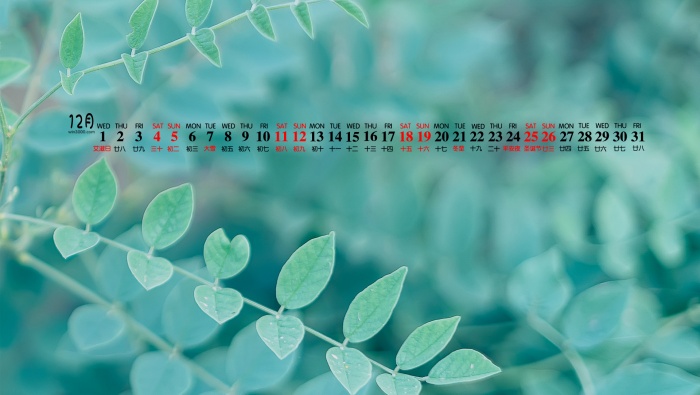 December 2021 Eyesight Protecting Green Plants Calendar Wallpaper