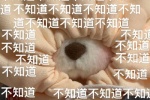 不知道不知道不知道不知道不知道不知道不知道不知道不知道不知道不知道不知道不知道不知道