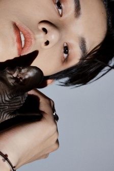 Tian Hongjie handsome male star mobile wallpaper