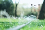 2022年4月夏日草地绿叶护眼桌面日历壁纸