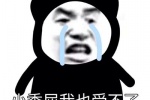 小委屈我也受不了