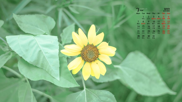 2022年3月清新綠色主題電腦日曆壁紙