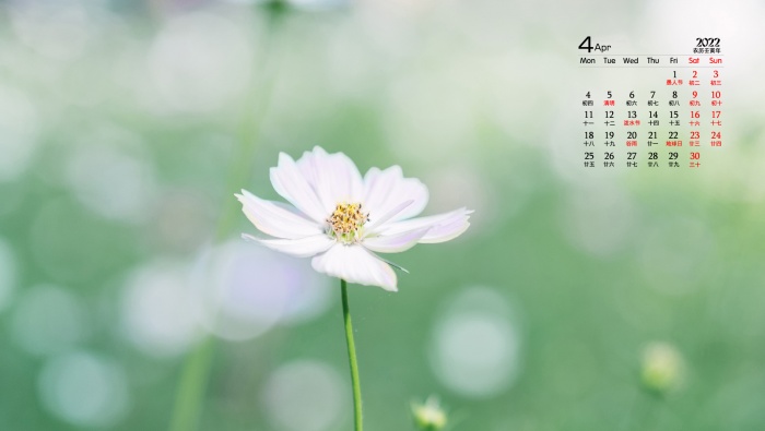 April 2022 Eye Protection HD Desktop Calendar Wallpaper