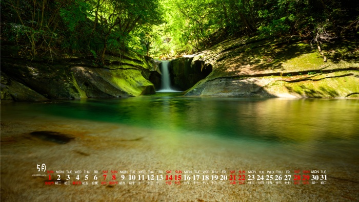 Eye-protecting green jungle scenery calendar wallpaper for May 2022
