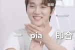 一pia即合