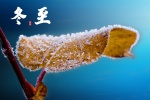 Traditional solar term winter solstice frost flower picture desktop wallpaper