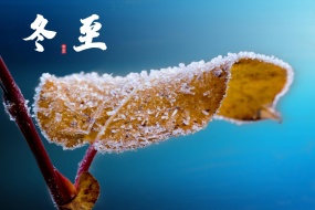 Traditional solar term winter solstice frost flower picture desktop wallpaper