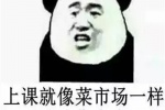 上课就想菜市场一样叽叽喳喳像麻雀~