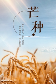 Beautiful illustration of mangosteen as mobile wallpaper