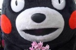 The latest version of Kumamon WeChat emoticon package pictures