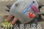 我心碎了，为什么要说这么伤人的话