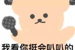 我看你挺会叭叭的 要不你来说？
