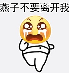 Swallow, don’t leave me emoticon pack