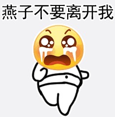 Swallow, don’t leave me emoticon pack