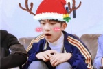 Yi Yang Qianxi's Christmas avatar picture