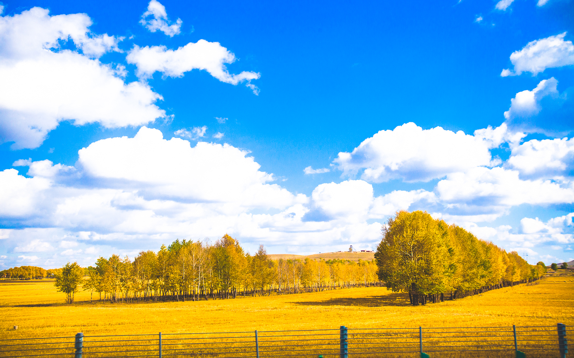 蓝色天空下的秋天美景壁纸图片