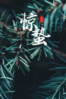 Traditional solar term Awakening of Insect mobile wallpaper