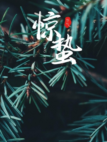 Traditional solar term Awakening of Insect mobile wallpaper