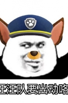 Paw Paw Team Panda Head Expression Pack