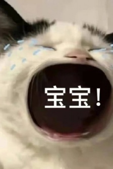 猫咪喊宝宝表情包