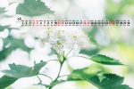 2021年9月小清新绿色花卉电脑日历壁纸
