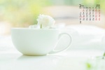 February 2022 fresh and simple desktop calendar wallpaper