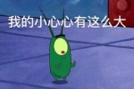 我的小心心有这么大