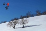 Solar term Xiaohan snow scene picture desktop wallpaper