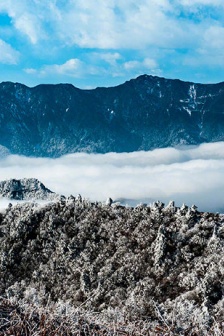 牛背山风景图片
