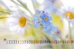 August 2021 Chinese Valentine's Day forget-me-not desktop calendar wallpaper