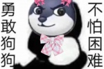 勇敢狗狗不怕酷男女