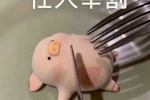 Collection of cute pig related emoticons