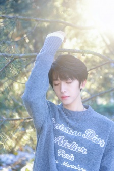 Liu Yu's handsome photo in gray sweater in warm winter weather