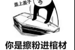熊猫头你是擦粉进棺材死要面子表情包
