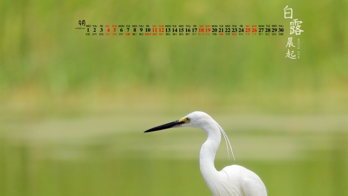 September 2021 Bailu computer calendar wallpaper