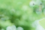 2022年4月绿色护眼小清新电脑日历壁纸