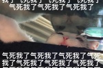 气死我了