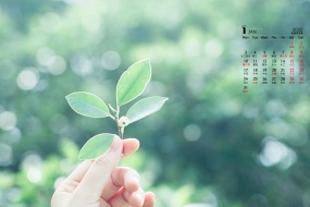 January 2022 small fresh green flower computer calendar wallpaper