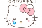 我Hello Kitty什么时候受过这种委屈（今天不会再开心）