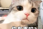 你有事吗？