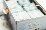 2021年6月小清新静物桌面日历壁纸