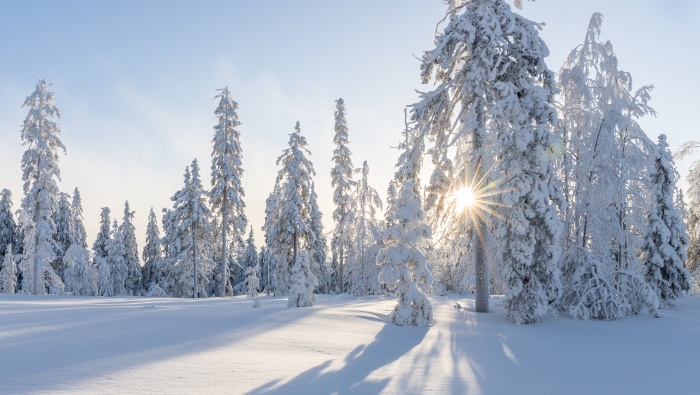 HD winter snow pictures desktop wallpaper