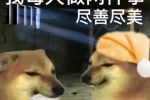 狗狗我每天做两件事尽善尽美表情包