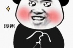 Panda head with hands expression pack